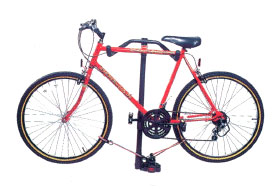 Witter Cycle carrier